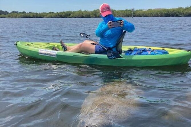2.5 Hour Kayaking with Manatee and History Tour in Tarpon Springs - Gear and Included Value: What You Don’t Have to Worry About