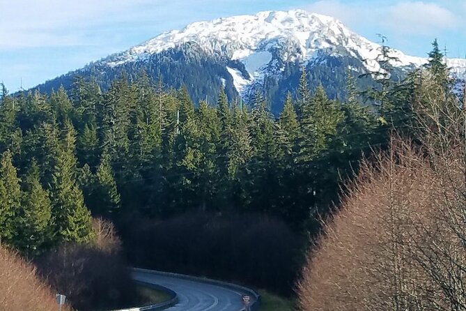 2 Hour Custom Wildlife and Historical Tour - Stop 4: cruise ship docks, totem poles, and last-chance wildlife