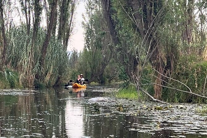 3 Hours of Kayaking at the Ancient Canals of Xochimilco - Key highlights to look for