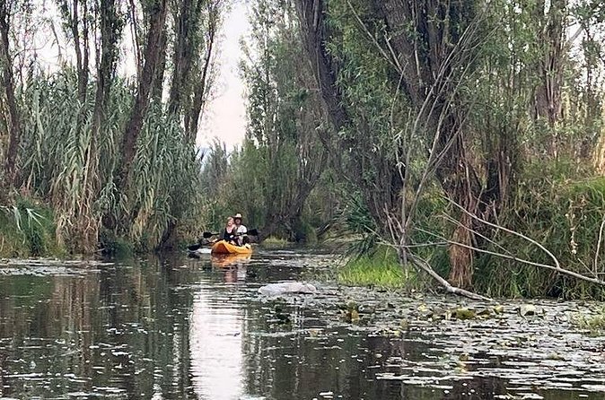 3 Hours of Kayaking at the Ancient Canals of Xochimilco - Wildlife spotlight at sunrise: herons, night heron, and fish life