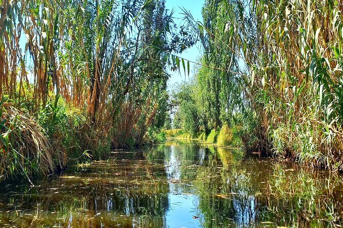 3 Hours of Kayaking at the Ancient Canals of Xochimilco - The 3-hour calm paddle: pacing that feels relaxed, not slow