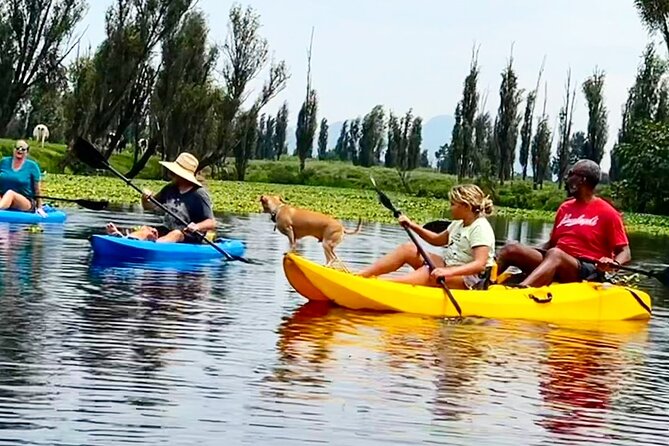 3 Hours of Kayaking at the Ancient Canals of Xochimilco - What to wear and bring: stay dry, stay ready, stay comfortable