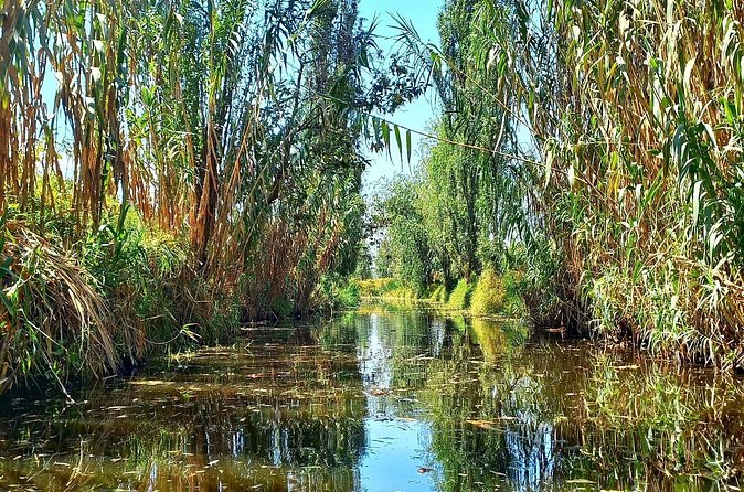 3 Hours of Kayaking at the Ancient Canals of Xochimilco - English-friendly guiding: how Grant makes history and wildlife fit together