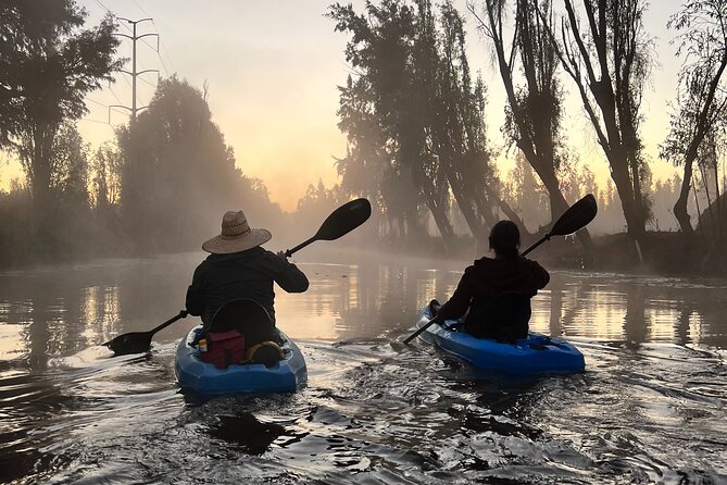 3 Hours of Kayaking at the Ancient Canals of Xochimilco - Is $71.65 worth it? Value for a premium nature-with-context outing