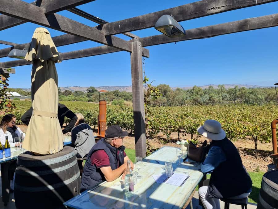 A Barossa Valley pickup: Wine and Heritage Tour, Local Guide - Who should book this Barossa Valley wine and heritage tour?