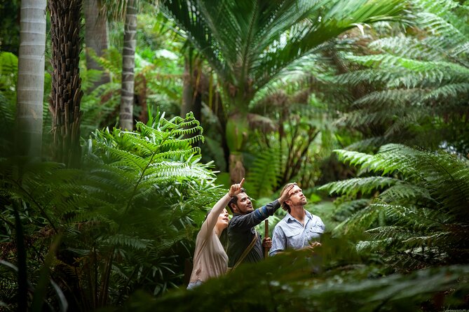 Aboriginal Heritage Walk - Royal Botanic Gardens Victoria, Melbourne Gardens - Key points worth your time
