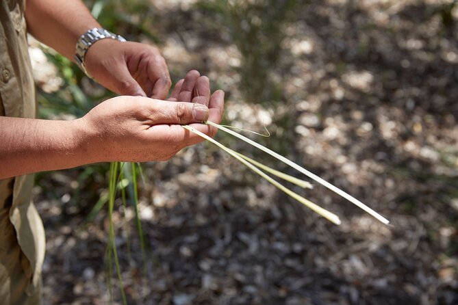 Aboriginal Heritage Walk - Royal Botanic Gardens Victoria, Melbourne Gardens - Why the Royal Botanic Gardens is the right place to start