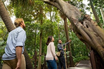 Aboriginal Heritage Walk - Royal Botanic Gardens Victoria, Melbourne Gardens - What you’ll learn on the walk: Koolin Nation stories plus plant use