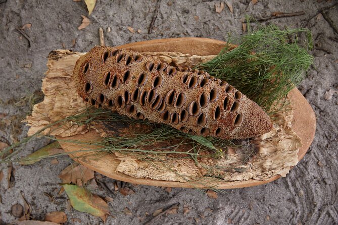 Aboriginal Heritage Walk - Royal Botanic Gardens Victoria, Melbourne Gardens - The lemon myrtle tea detail you’ll be glad you have