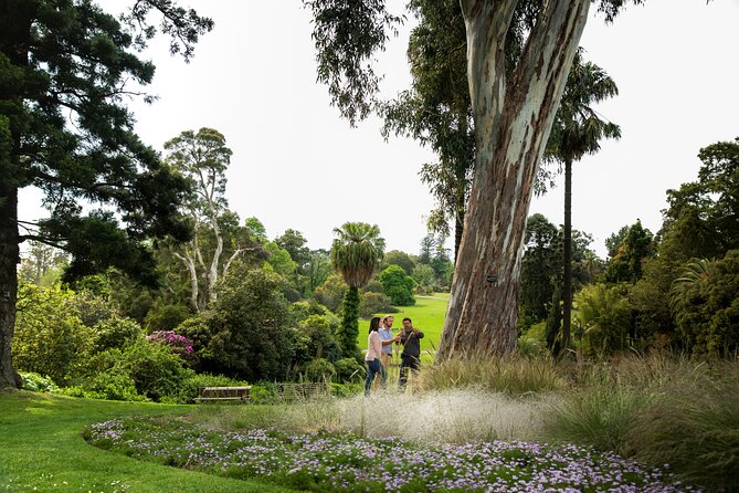 Aboriginal Heritage Walk - Royal Botanic Gardens Victoria, Melbourne Gardens - Who this tour suits best (and who should consider another option)