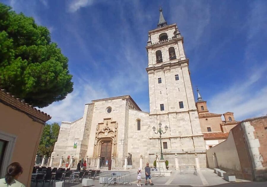 Alcalá World Heritage Tour - Cervantes Birthplace Museum: learning without killing your day