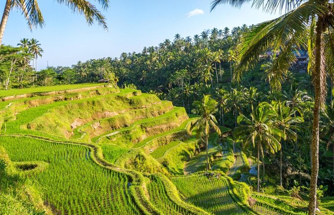 [All Inclusive] The Soul of Bali: Temples, Art & Traditions Tour - Key Highlights You’ll Actually Feel