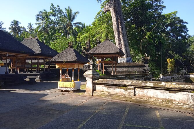[All Inclusive] The Soul of Bali: Temples, Art & Traditions Tour - Ubud Traditional Art Market: Shopping Without Getting Overwhelmed