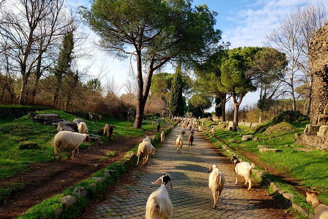 Ancient Appian Way and Roman Countryside E-Bike Tour - E-Bikes Aren’t Magic: Pace, Terrain, and Bike Control