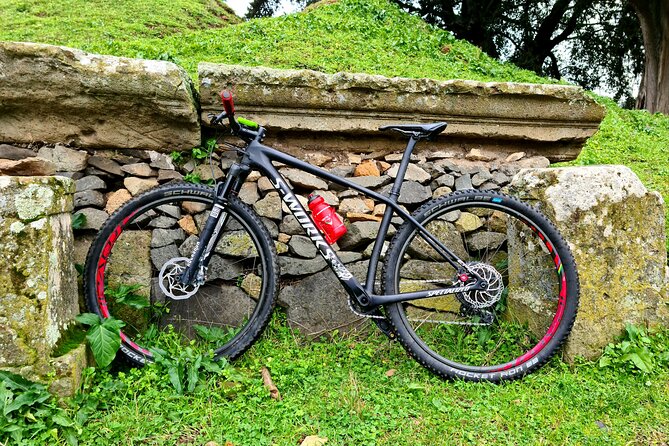 Ancient Appian Way and Roman Countryside E-Bike Tour - Price and Value: What $90.22 Buys You in Real Sightseeing