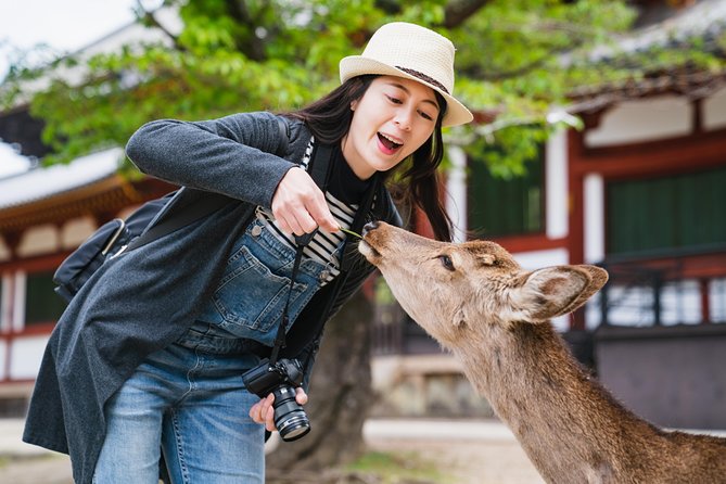 Ancient Capital Tour: Kyoto and Nara Highlights from Kyoto/Osaka - Key things I’d watch for before you go