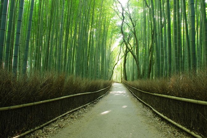 Ancient Capital Tour: Kyoto and Nara Highlights from Kyoto/Osaka - Todaiji and the Great Buddha: the scale check you’ll feel