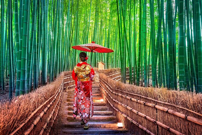 Ancient Capital Tour: Kyoto and Nara Highlights from Kyoto/Osaka - Comfort, pace, and walking level: plan for a full day