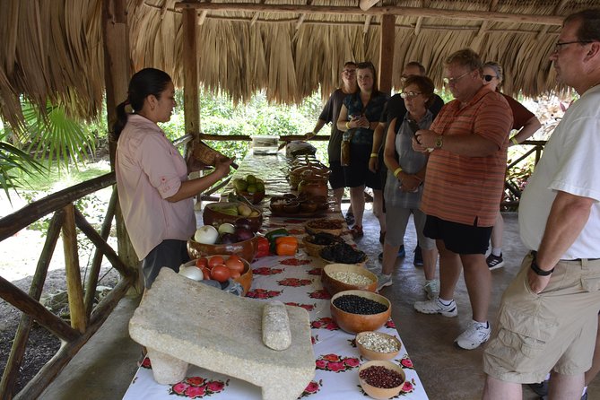 Ancient Chacchoben Mayan Ruins & Mayan Experience from Costa Maya - Camera fee, rules, and the small details that prevent surprises