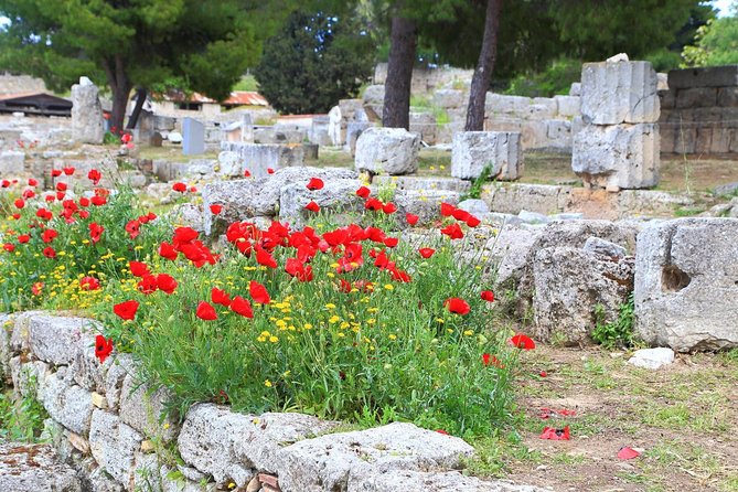 Ancient Corinth & Nafplion One-Day Tour from Athens - Stop 1: Corinth Canal for Photos and Scale (About 15 Minutes)