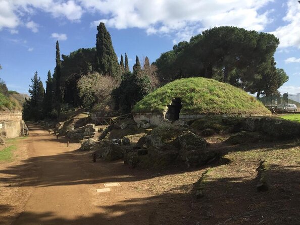 Ancient Etruscan Civilization Tour from Rome - Key highlights to know before you go
