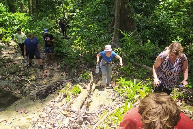 Ancient Lava Stream Trek through dense Tropical forest. - Areca nut plantation: seeing work life tied to the island