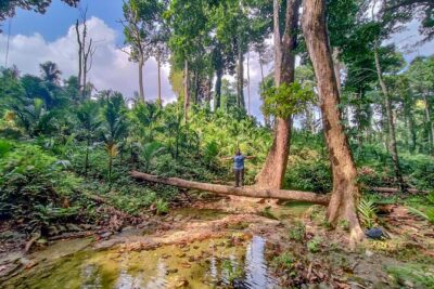 Ancient Lava Stream Trek through dense Tropical forest. - Rope-assisted sections: the part that decides if this fits you