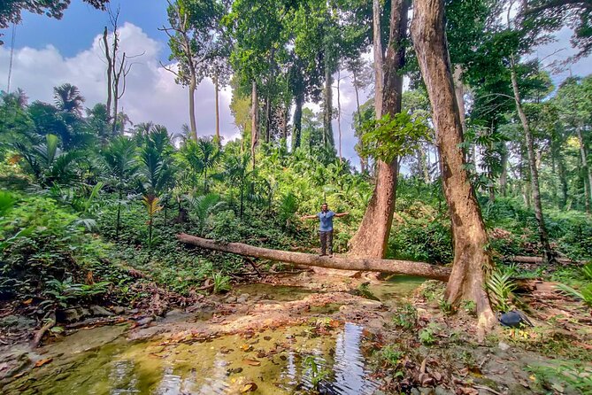 Ancient Lava Stream Trek through dense Tropical forest. - Rope-assisted sections: the part that decides if this fits you