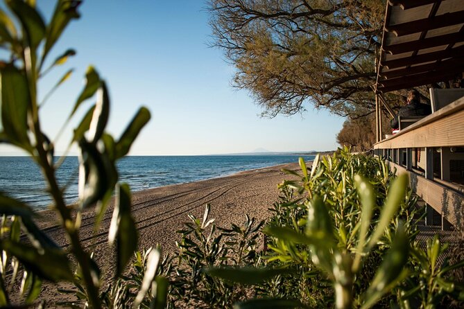 Ancient Olympia & Kourouta Beach - All Included Tour - From Katakolo to Olympia: The day’s rhythm