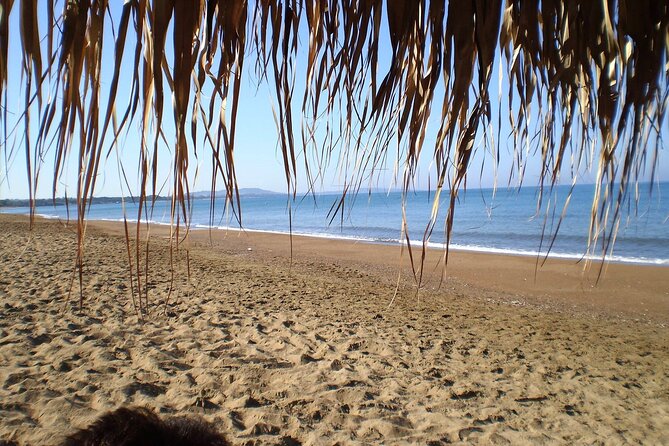 Ancient Olympia & Kourouta Beach - All Included Tour - Guides on this route: why the experience can feel personal
