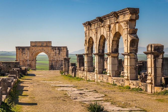 Ancient Ostia from Rome: Archaeology & History, Semi-Private Tour - Small group size: why it feels more personal than a standard bus tour