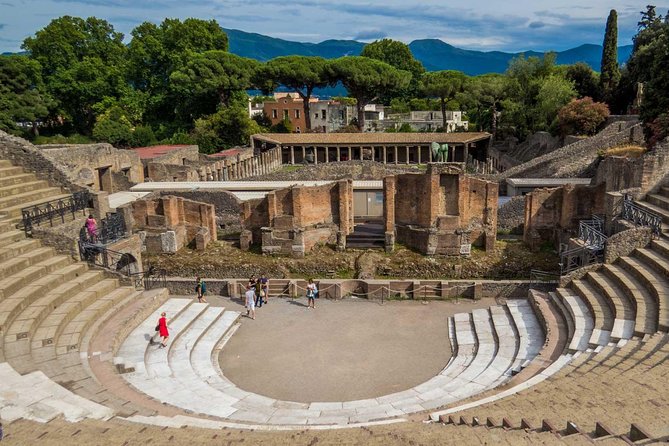 Ancient Pompeii Private Tour: Skip the Line & Kid-Friendly Option - Skip-the-Line Access at Pompeii: Why Private Beats Solo