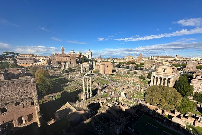Ancient Rome Discovery: Colosseum, Forum, Palatine Guided Tour - Palatine Hill: Imperial Homes and City Views