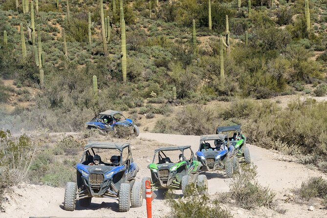 Ancient Ruins Tour - Guided Arizona Desert Tour by UTV - Key things to know before you go