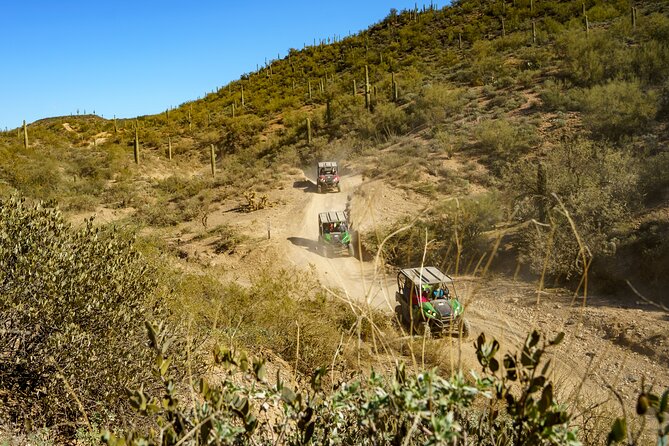 Ancient Ruins Tour - Guided Arizona Desert Tour by UTV - What’s included (and why it’s worth $150)