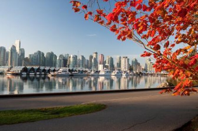 Ancient Trees of Vancouver Walking Tour - Key things to know before you go