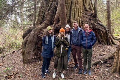 Ancient Trees of Vancouver Walking Tour - Stanley Park’s ancient giants: what you’ll spot on the trail