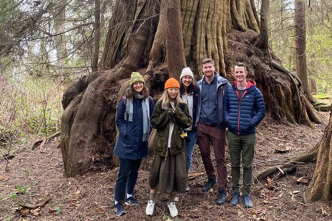 Ancient Trees of Vancouver Walking Tour - Stanley Park’s ancient giants: what you’ll spot on the trail