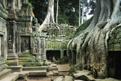 Angkor Wat, Angkor Thom Ancient Capital, Ta Promh Temple - Private escort guide: the difference between seeing and understanding