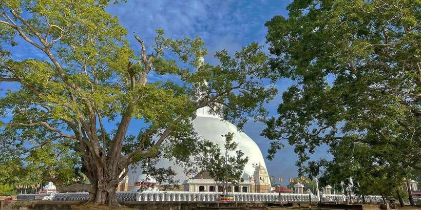 Anuradhapura Private Ancient City Day Tour - Key Points You’ll Be Glad You Noted