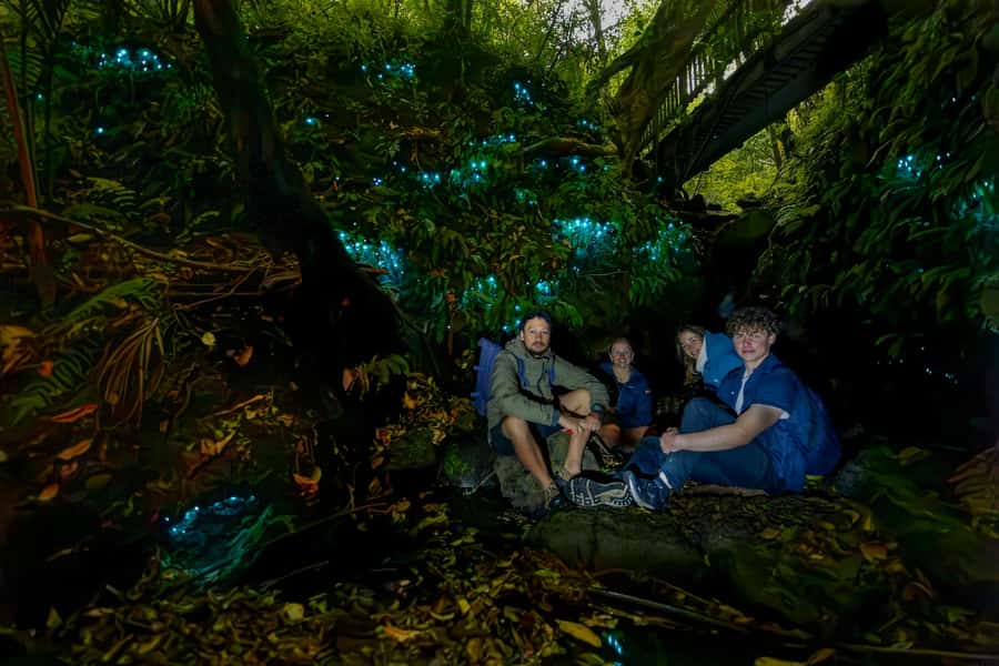 Auckland: Inner-City Glowworm Experience in Ancient Volcano - Key things to know before you go