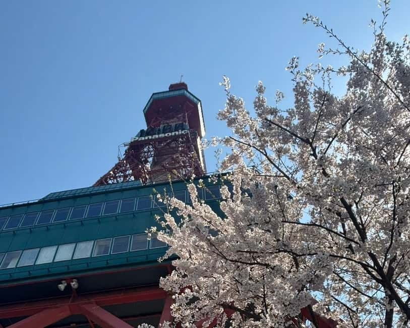 Authentic Sapporo: Nijo Market Seafood Lunch & History Tour - Hokkaido Jingu Tongu: a shrine locals actually use