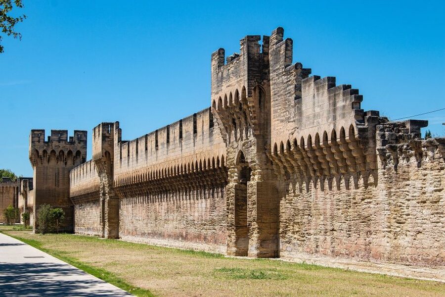 Avignon: Private Walking Tour – Discover History & Heritage - Pont St. Bénezet: seeing it vs walking it