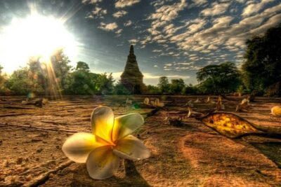 Ayutthaya Ancient City - Getting Started: The 8:00 AM Pickup and Long-Day Rhythm