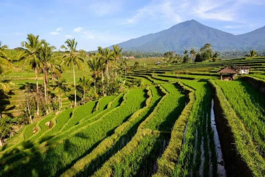 Bali: Private UNESCO World Heritage Sites Tour - Price and value: why this tour is priced the way it is