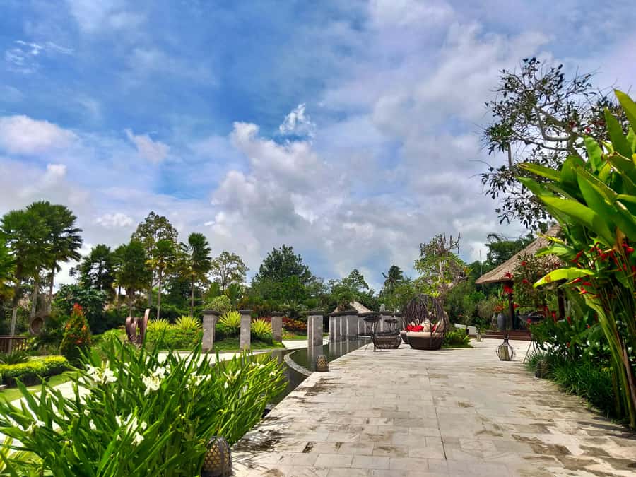 Bali: Ubud, Monkey Forest, Ancient Temple, Waterfalls - Key highlights you’ll feel right away