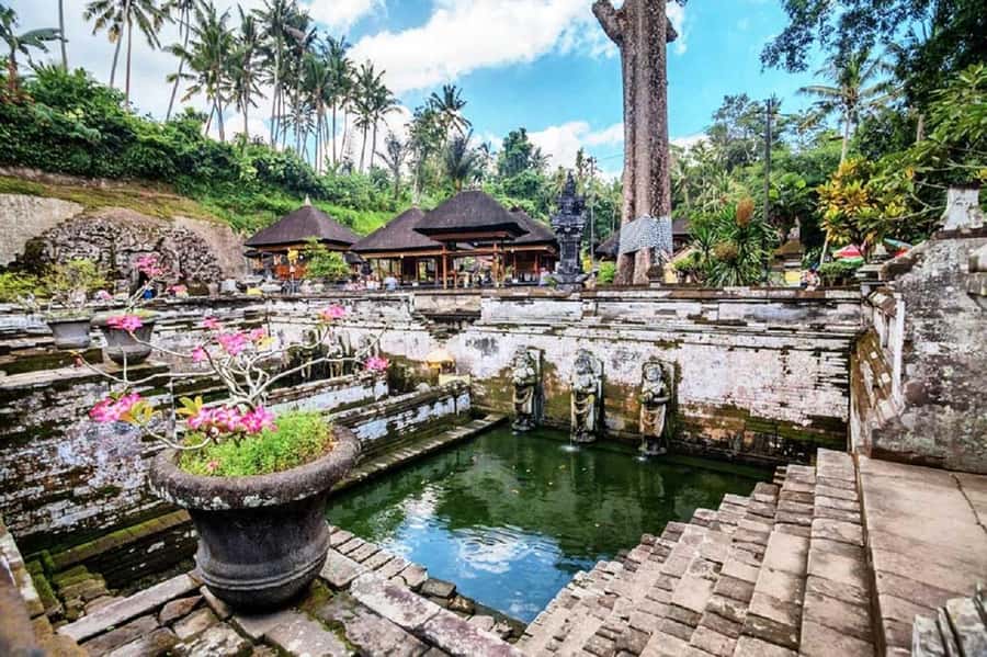 Bali: Ubud, Monkey Forest, Ancient Temple, Waterfalls - Coffee at Satria Agrowisata: how to treat the tasting stop like a pro