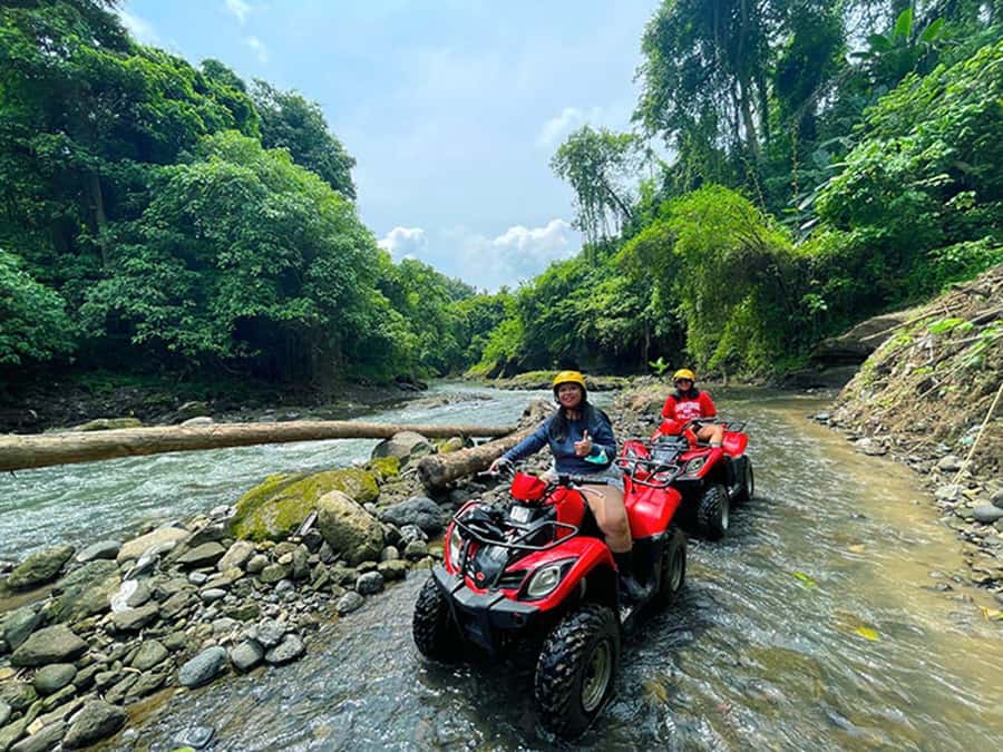 Bali: Ubud, Monkey Forest, Ancient Temple, Waterfalls - Tegalalang Rice Terraces: the scenic finale that rewards patience