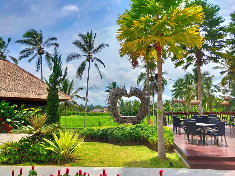 Bali: Ubud, Monkey Forest, Ancient Temple, Waterfalls - Price and value: why $36 can feel fair or frustrating
