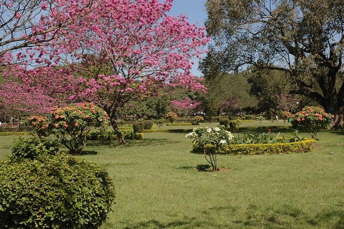 Bangalore Heritage and Cultural Walking Tour - Key highlights worth your time
